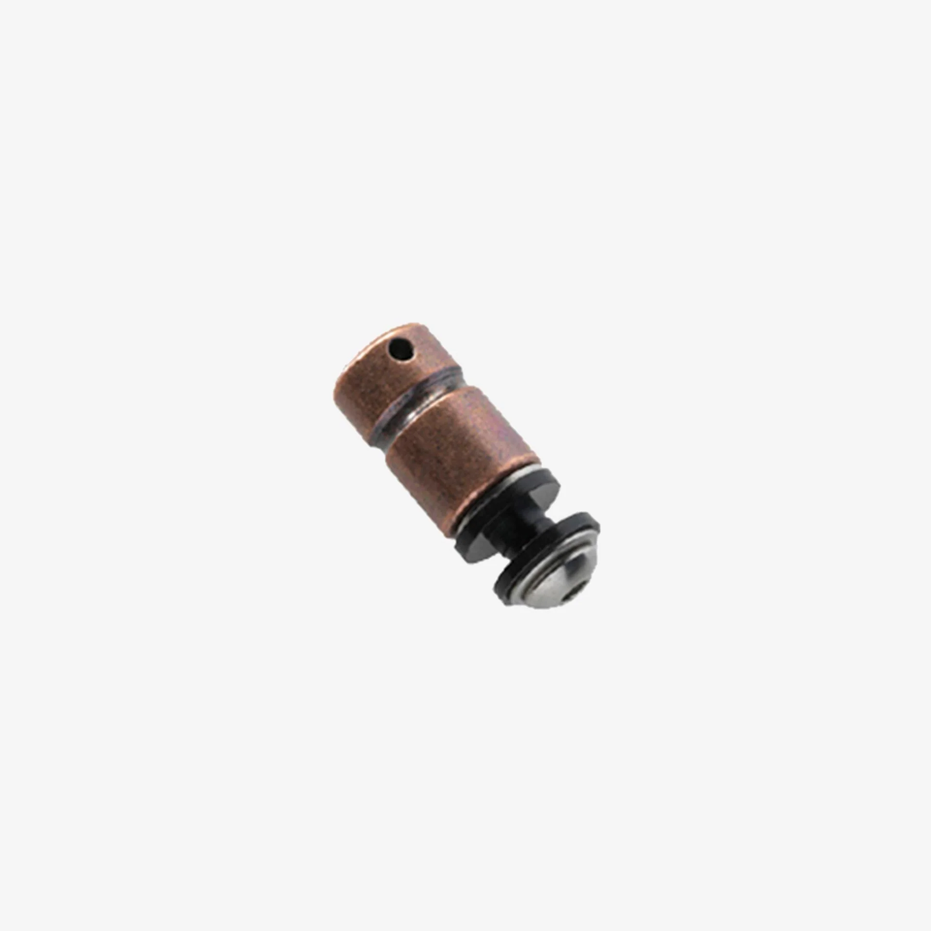 Lauro Paolini Parafuso Rear Binding Post
